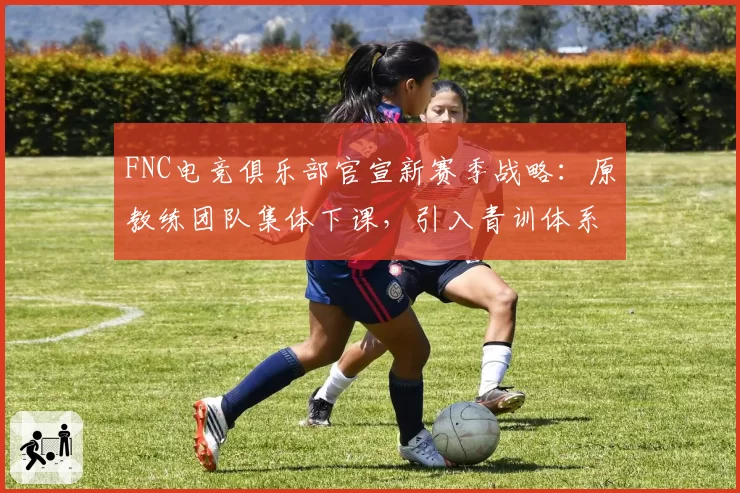 FNC电竞俱乐部官宣新赛季战略:原教练团队集体下课,引入青训体系