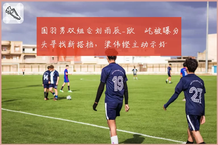 国羽男双组合刘雨辰_欧烜屹被曝分头寻找新搭档，梁伟铿主动示好