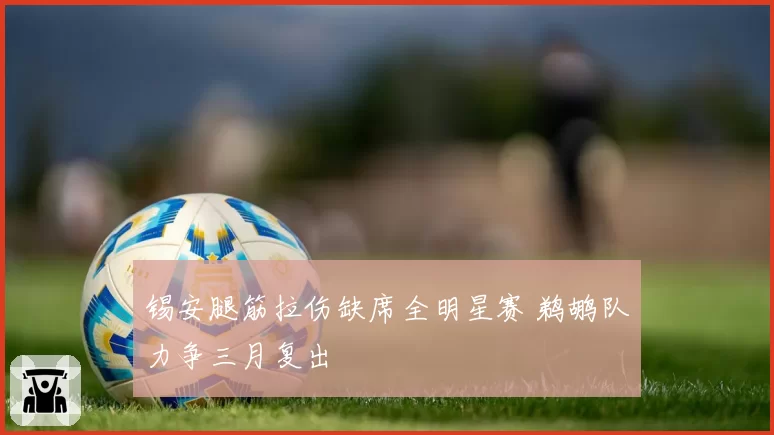 锡安腿筋拉伤缺席全明星赛 鹈鹕队力争三月复出